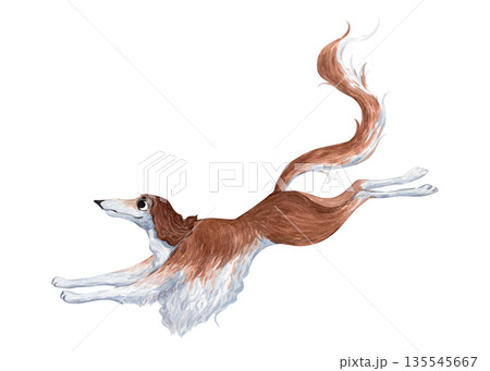 A watercolor illustration of a Russian greyhound 135545667