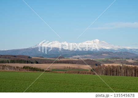 春の晴れた日の緑のムギ畑と雪山 大雪山 春の晴れた日の緑のムギ畑と雪山 大雪山 135545678