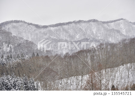 冬の北海道厚沢部町で雪をかぶった山林の風景を撮影 135545721