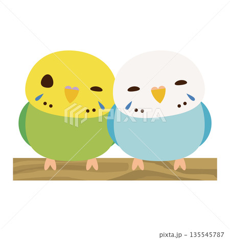 セキセイインコ　ペア 135545787