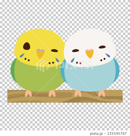 セキセイインコ　ペア 135545787