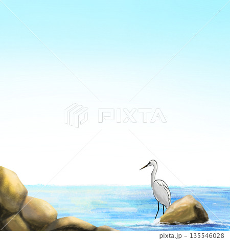 Egret stands beside the calm sea and rock background illustration 135546028