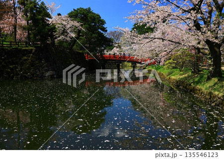 桜の花びらが敷き詰められた道 桜の花びらが敷き詰められた道 135546123