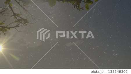 Capturing star field through leafy branches in night woods, with Milky Way band, moon lens flare 135546302