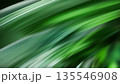 Vibrant Abstract Green Lines Creating a Sense of Movement 135546908