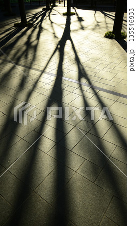 冬の陽射しを浴びた広場 135546933