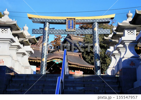 日本唯一の夢叶え大明神・夢結びの神様… 稲敷『大杉神社』 135547957