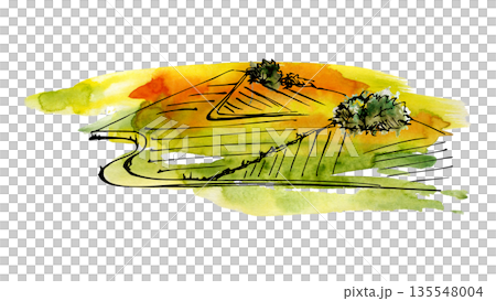 Pastoral view, scenery of layered hills, farmland mosaics of Tuscany, Provence, California hand drawn in watercolor with ink line. Illustration for eco tourism, nature magazines, artisan food labels. 135548004