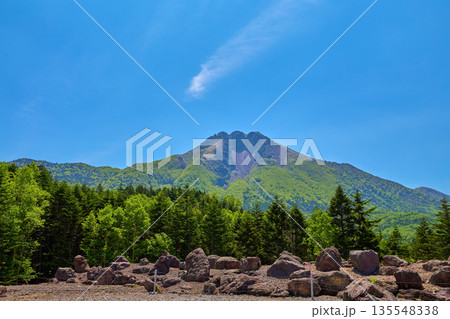 群馬県利根郡片品村のロープウェイ山頂駅から見た新緑の日光白根山 135548338
