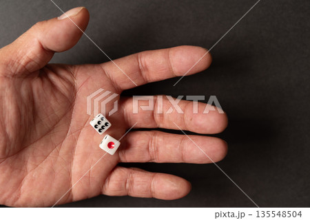 サイコロを振る 135548504