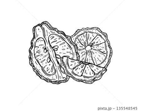 Juicy bergamot fruit slices line art black ink sketch. Monochrome Asian sliced citrus vector isolated illustration. Kaffir lime composition for menu, cosmetic packaging, food ingredient 135548545