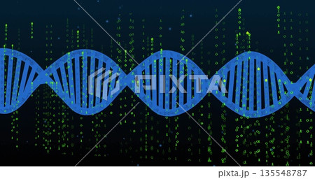 Showing blue DNA helix stretching across interface, amid digital rain effect and green binary code Showing blue DNA helix stretching across interface, amid digital rain effect and green binary code 135548787