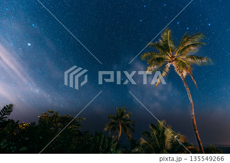 Night Sky Rich in Stars Above Lush Tropical Landscape 135549266