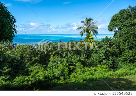 Coastal View and Ocean on Maupiti Island, French Polynesia 135549525