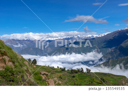 Colca Canyon with a clear blue sky, Peru 135549535