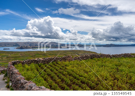 Stone pathway and arch at Pachatata archaeological site, Amantani Island, La ke Titicaca, Peru 135549545