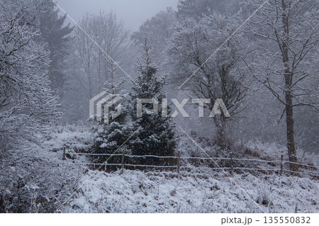 Snowfall in Austria on Christmas Eve Snowfall in Austria on Christmas Eve 135550832