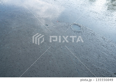 Mangrove wetland mud surface acting as natural carbon capture and storage system. Blue carbon sediment, climate change mitigation process. Coastal ecosystems in long term environmental sustainability. 135550849