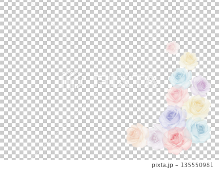 Pastel color rose background material 135550981