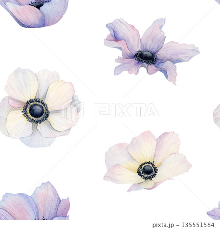 Simple purple and white anemone flowers watercolor seamless pattern. Wildflowers poppies minimalist repeat background for elegant wedding, Mothers day cards and simple spring floral designs 135551584
