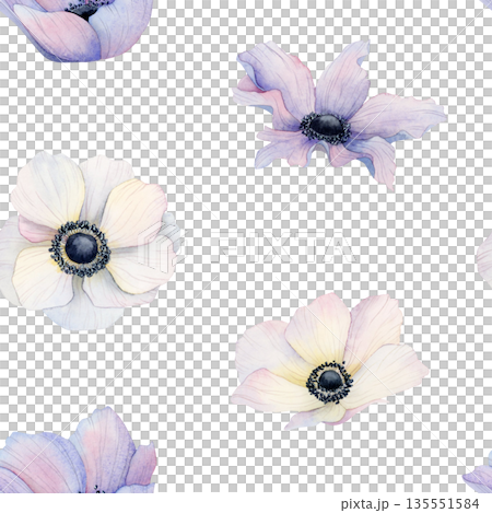 Simple purple and white anemone flowers watercolor seamless pattern. Wildflowers poppies minimalist repeat background for elegant wedding, Mothers day cards and simple spring floral designs 135551584