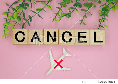飛行機の欠航のイメージ 135551664