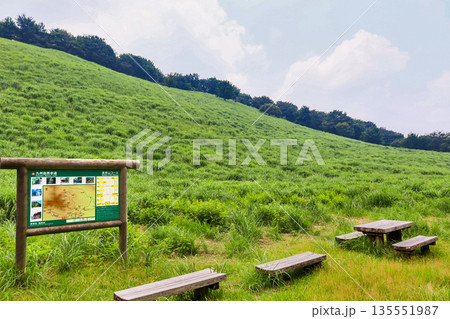 福岡県田川郡の英彦山青年の家近くにある鷹巣原高原 135551987