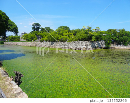 岡山城のお堀（岡山県岡山市） 135552266
