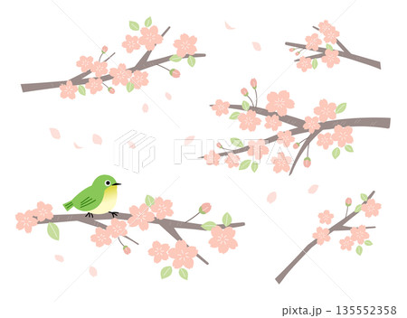 桜の枝と葉の春素材パーツセット 135552358