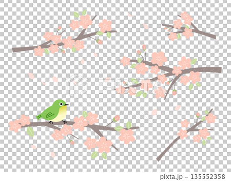 桜の枝と葉の春素材パーツセット 135552358