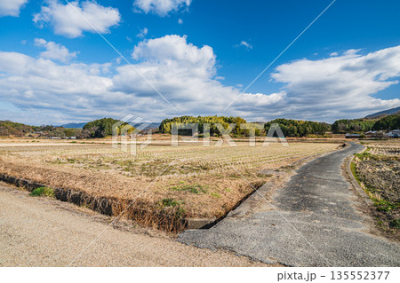 冬の明日香村 寒々とした田園風景 奈良県 冬の明日香村 寒々とした田園風景 奈良県 135552377