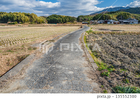 冬の明日香村 寒々とした田園風景 奈良県 冬の明日香村 寒々とした田園風景 奈良県 135552380