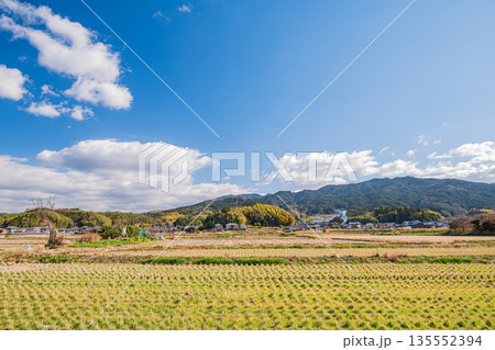 冬の明日香村　寒々とした田園風景　奈良県 135552394