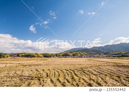 冬の明日香村 寒々とした田園風景 奈良県 冬の明日香村 寒々とした田園風景 奈良県 135552442