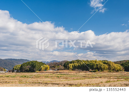 冬の明日香村 寒々とした田園風景 奈良県 冬の明日香村 寒々とした田園風景 奈良県 135552443