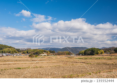 冬の明日香村　寒々とした田園風景　奈良県 135552444