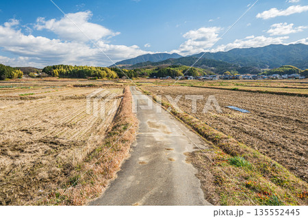 寒々とした冬の田園風景 田んぼを貫く一本道 奈良県明日香村 寒々とした冬の田園風景 田んぼを貫く一本道 奈良県明日香村 135552445