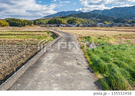 田んぼを貫く一本道 奈良県明日香村 田んぼを貫く一本道 奈良県明日香村 135552456
