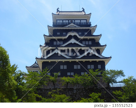 福山城の天守閣（広島県福山市） 135552523