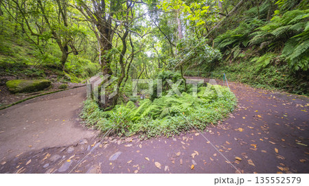 Vereda dos Balcoes PR11 Mountain Footpath, Madeira, Portugal 135552579