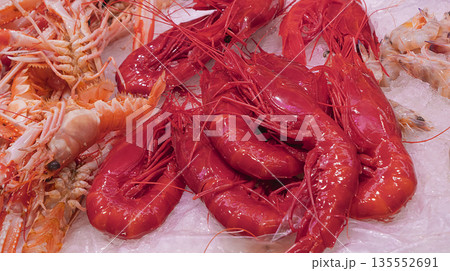 Fresh Carabinero Shrimp, Fish Market, Spain Fresh Carabinero Shrimp, Fish Market, Spain 135552691