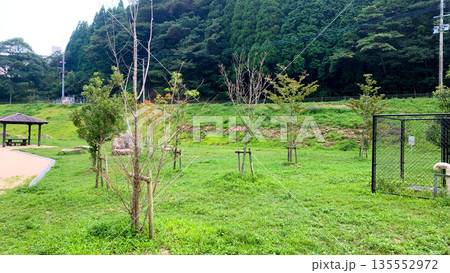 自然豊かな五ケ山クロスリバーパーク 自然豊かな五ケ山クロスリバーパーク 135552972