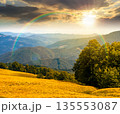 beautiful mountain landscape with beech trees on rolling hills at sunset. wonderful view of alpine countryside scenery in evening light. timeless outdoor adventure nostalgia book cover with rainbow 135553087