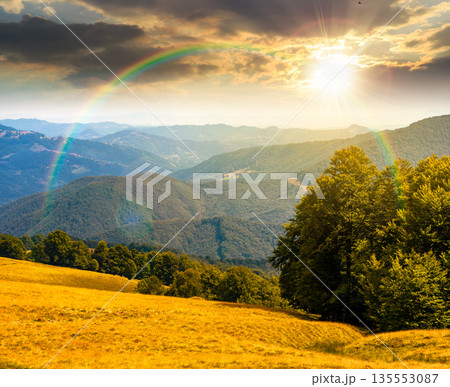 beautiful mountain landscape with beech trees on rolling hills at sunset. wonderful view of alpine countryside scenery in evening light. timeless outdoor adventure nostalgia book cover with rainbow 135553087