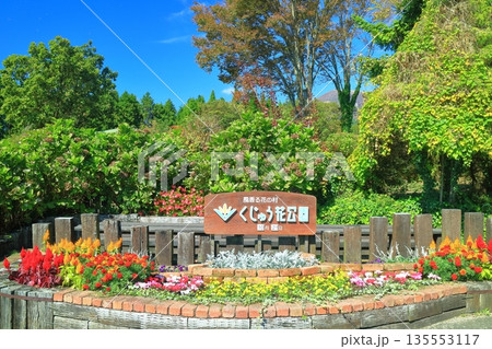 【大分県】秋のくじゅう花公園 135553117