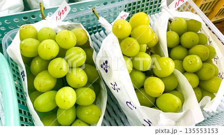 新鮮なシャインマスカット直売所 新鮮なシャインマスカット直売所 135553153
