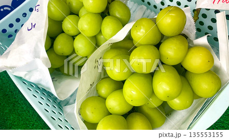 新鮮なシャインマスカット直売所 新鮮なシャインマスカット直売所 135553155
