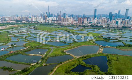 Aerial view of rural green fields with fish ponds on Hong Kong and the skylines of Shenzhen Aerial view of rural green fields with fish ponds on Hong Kong and the skylines of Shenzhen 135553281