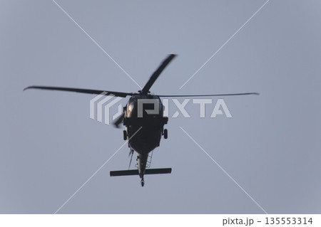 ブラックホーク 135553314