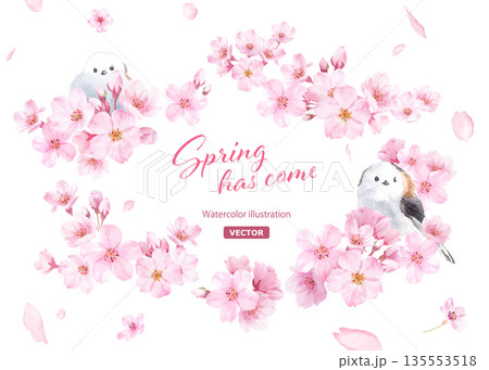 桜の花と小鳥(エナガ)の水彩イラストでデザインした、緩やかな楕円形フレーム 背景に花びら (ベクター 桜の花と小鳥(エナガ)の水彩イラストでデザインした、緩やかな楕円形フレーム 背景に花びら (ベクター 135553518